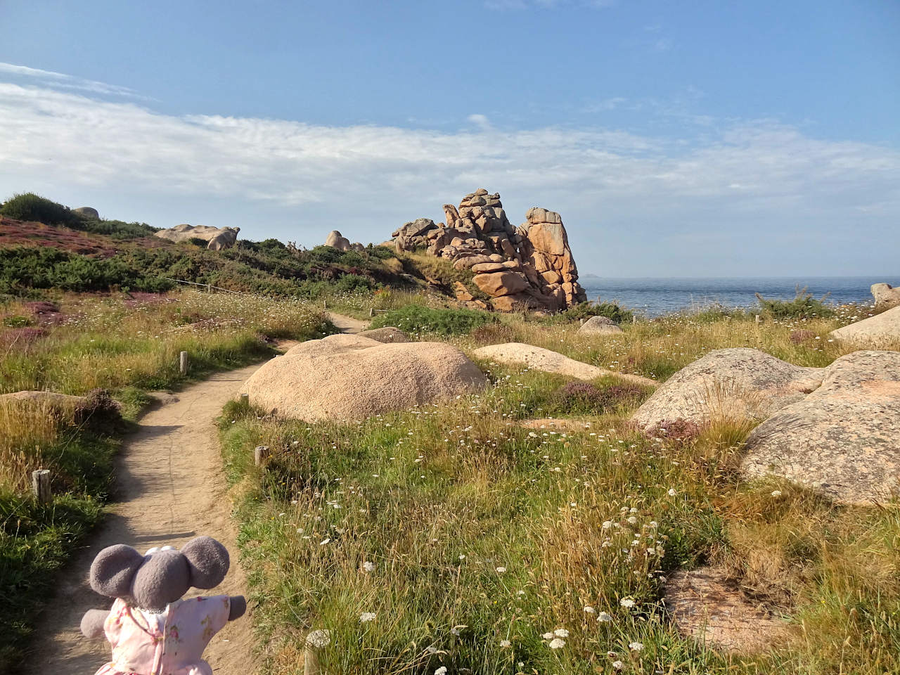 Sentier des douaniers entre Perros-Guirec et Ploumanac'h 