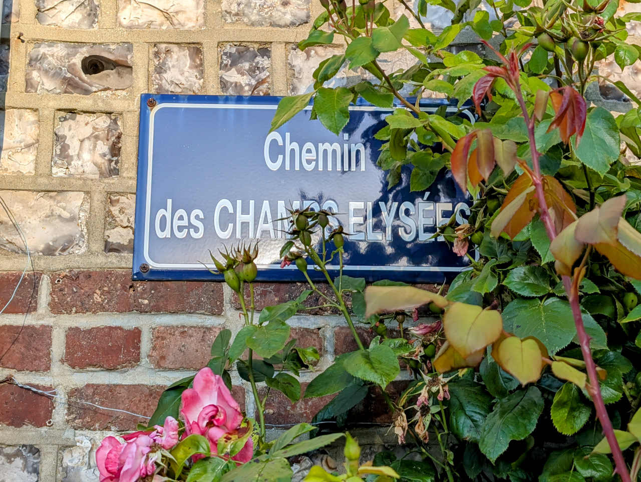 chemin des champs Elysées Veules