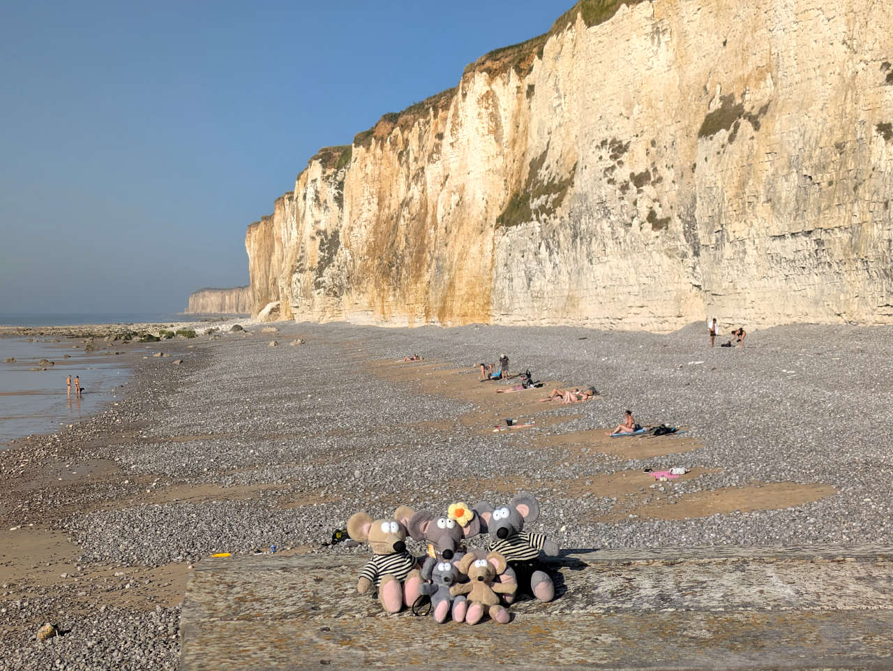 falaises Veules-les-Roses