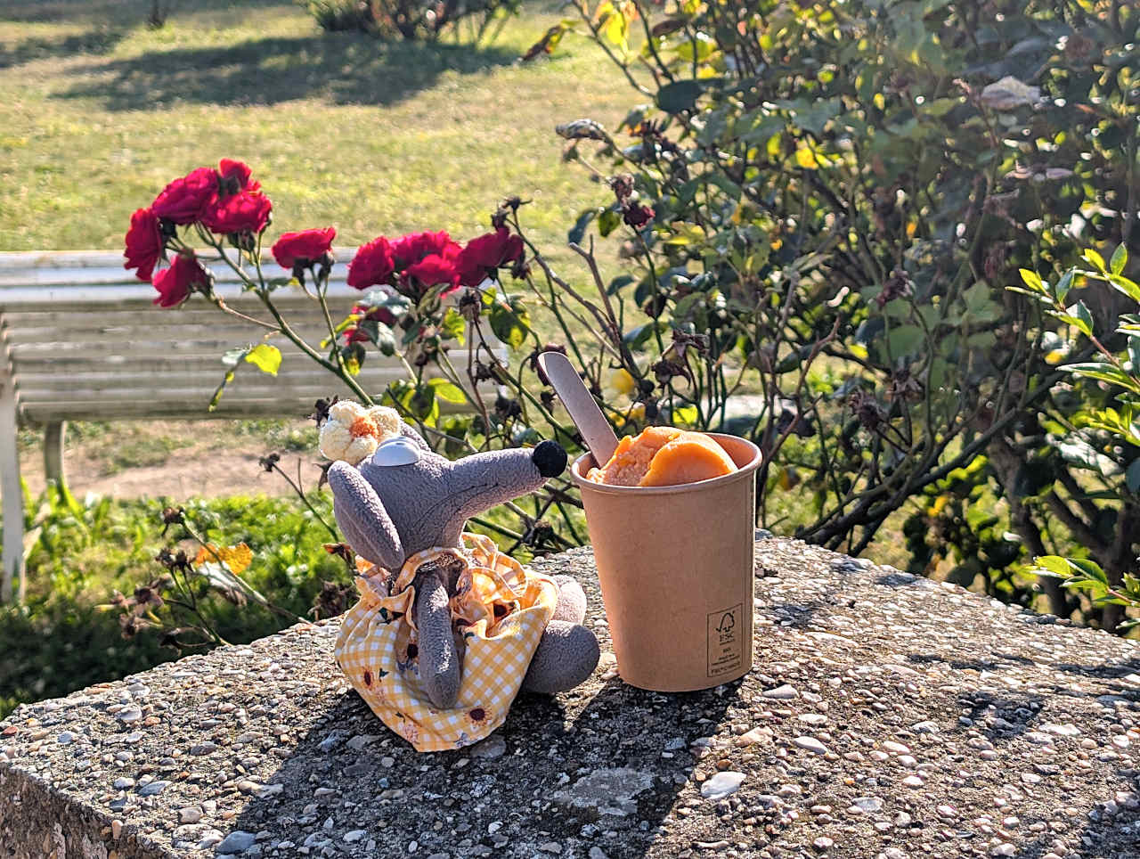glaces Veules-les-Roses
