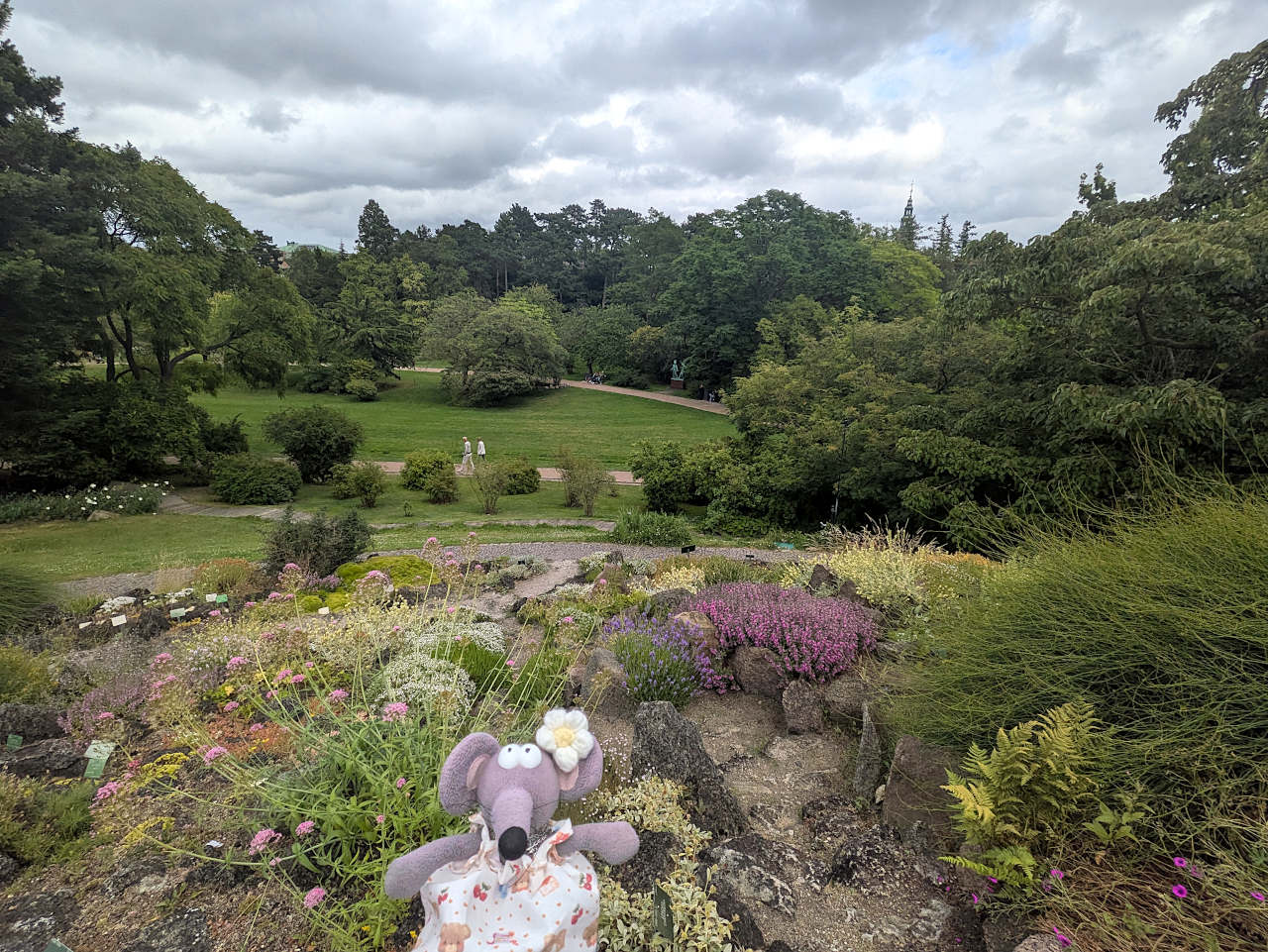 jardin botanique de Copenhague 2