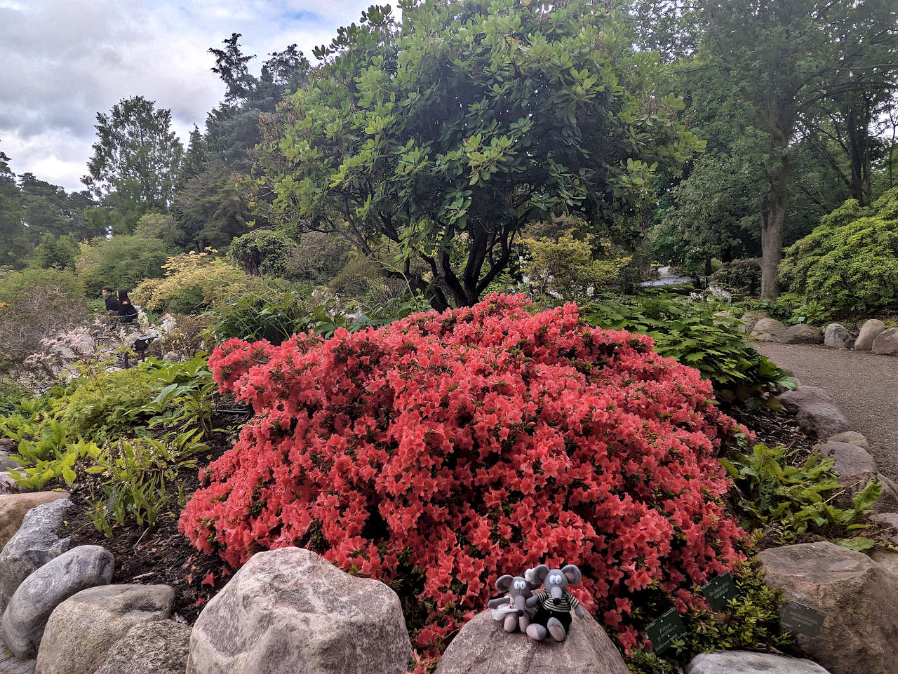 jardin botanique de Copenhague