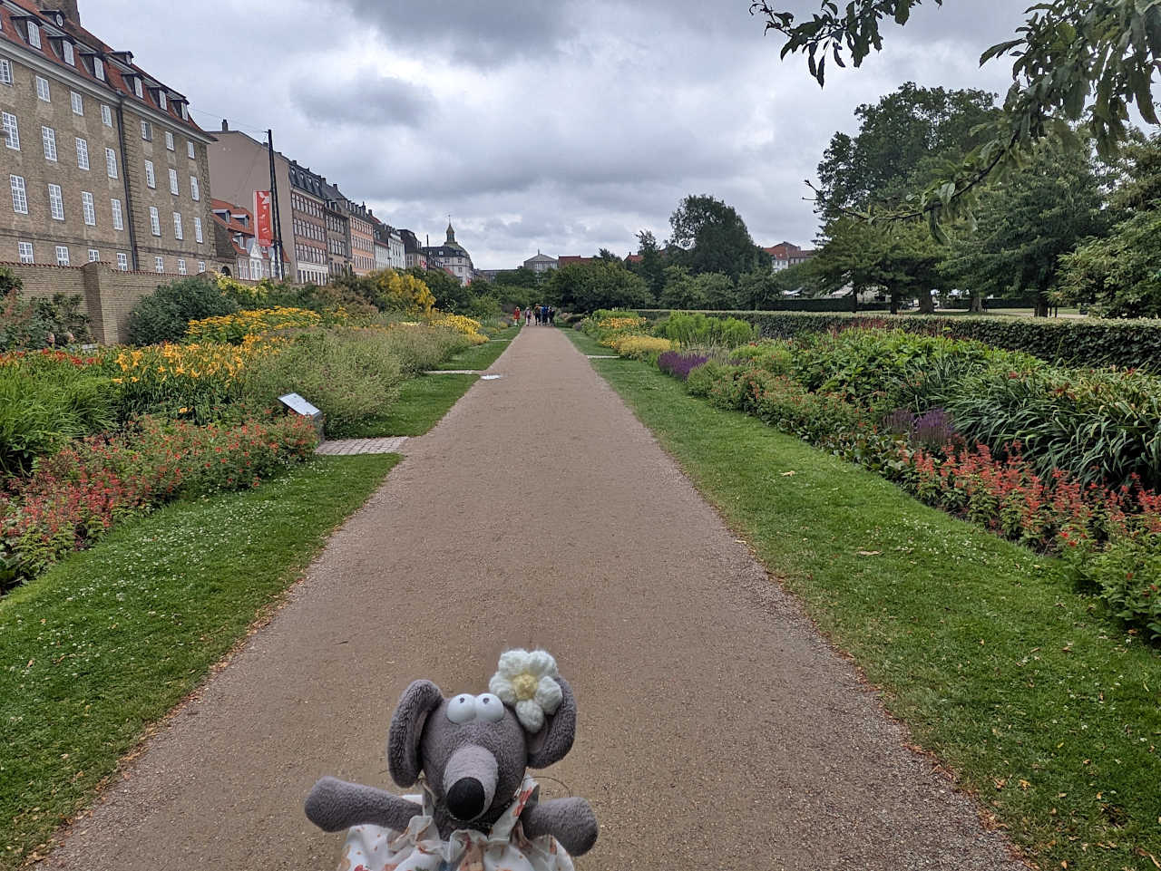 jardin de Copenhague début juillet
