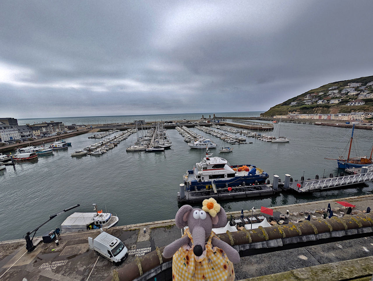 vue sur le port de Fécamp