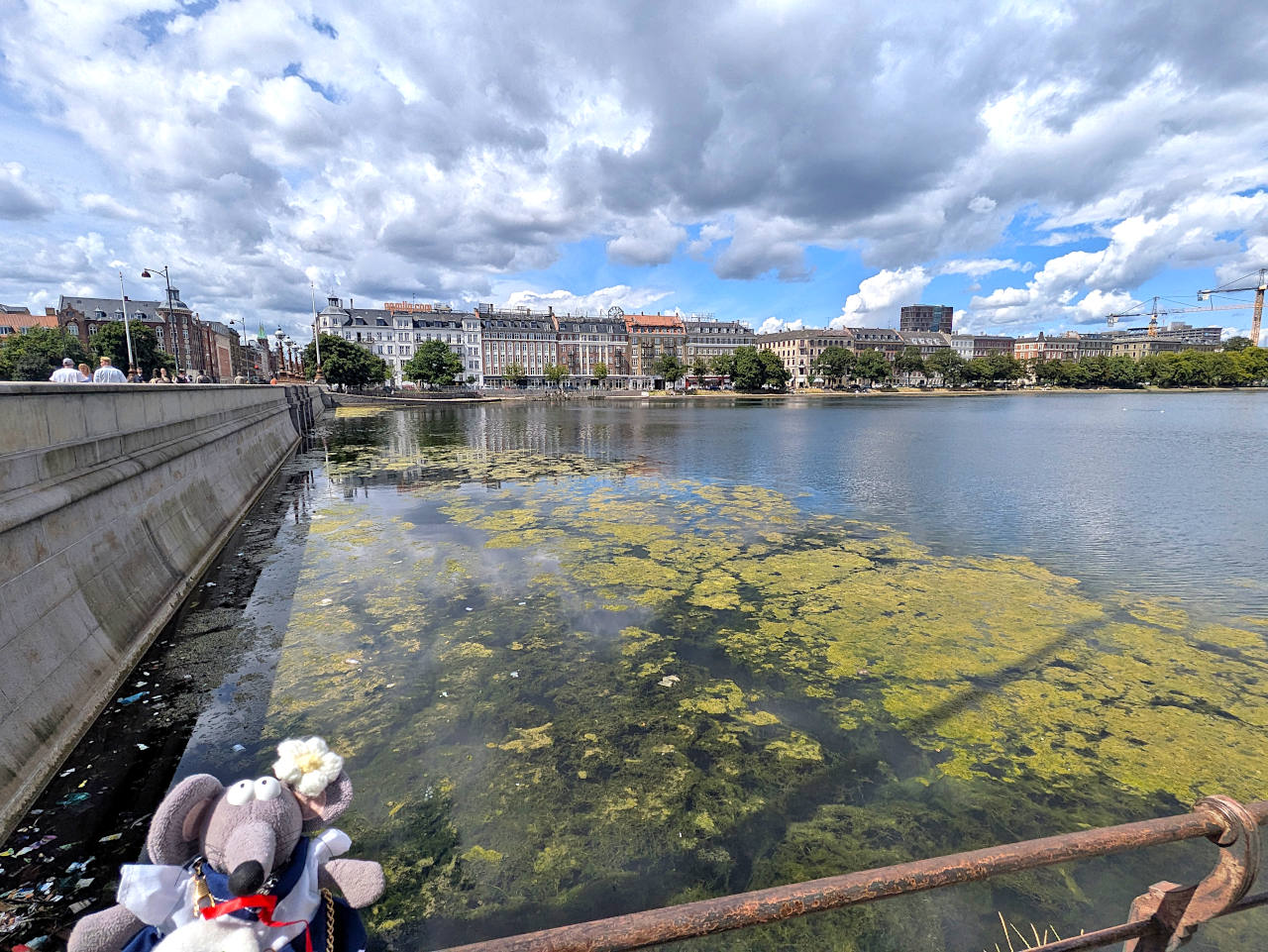 vue sur les lacs artificiels Copenhague