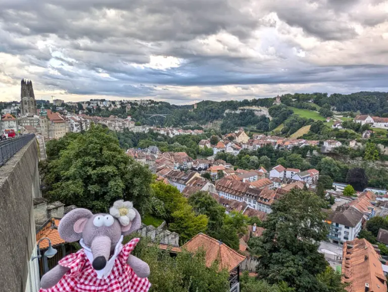 Fribourg vue