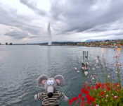 Que visiter, que faire à Genève en 1,2,3 jours Genève Léman