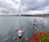 Que visiter, que faire à Genève en 1,2,3 jours Genève Léman