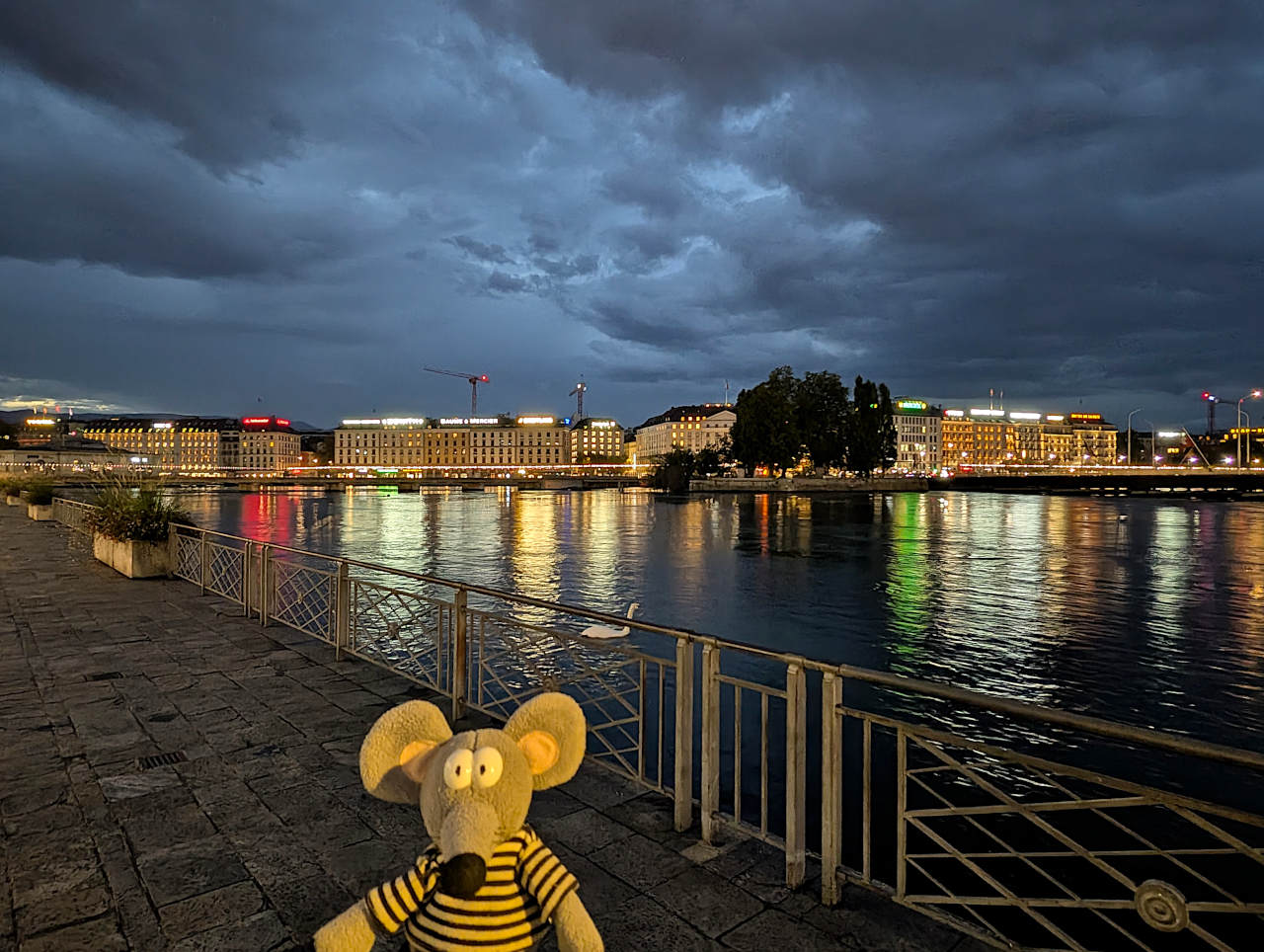rives du Léman Genève