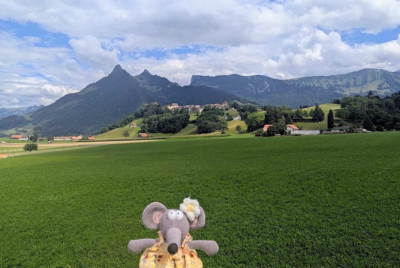 vue sur Gruyères