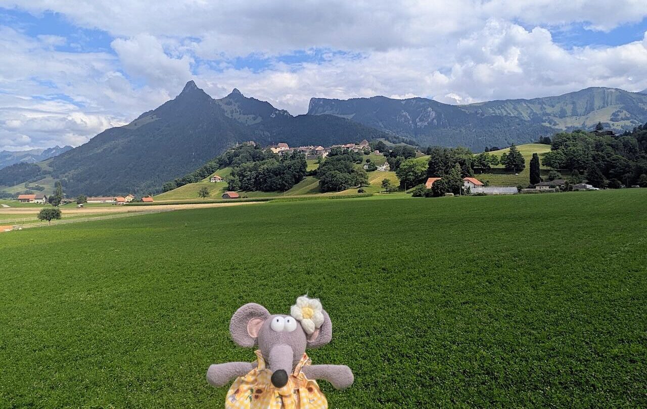 vue sur Gruyères