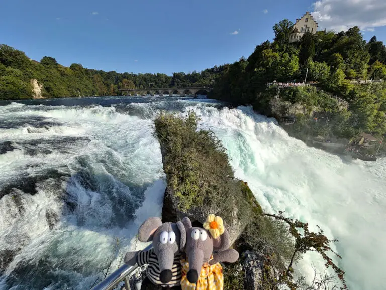 Chutes du Rhin