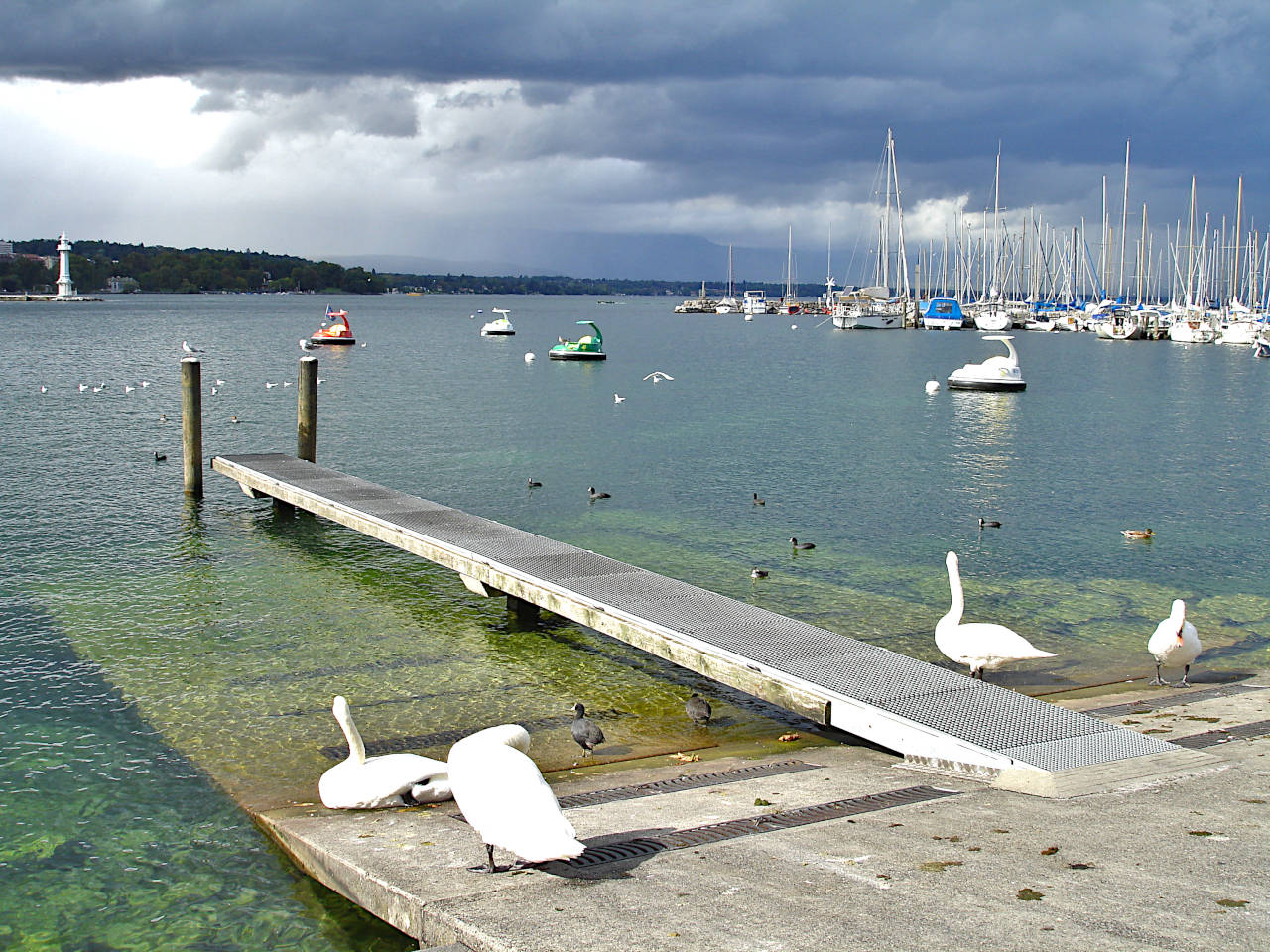 Genève Léman phare
