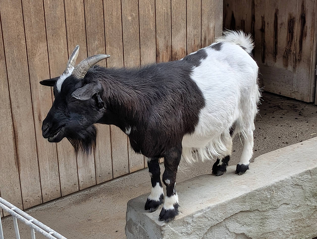 Hofladen Kulturhof Hinter Musegg