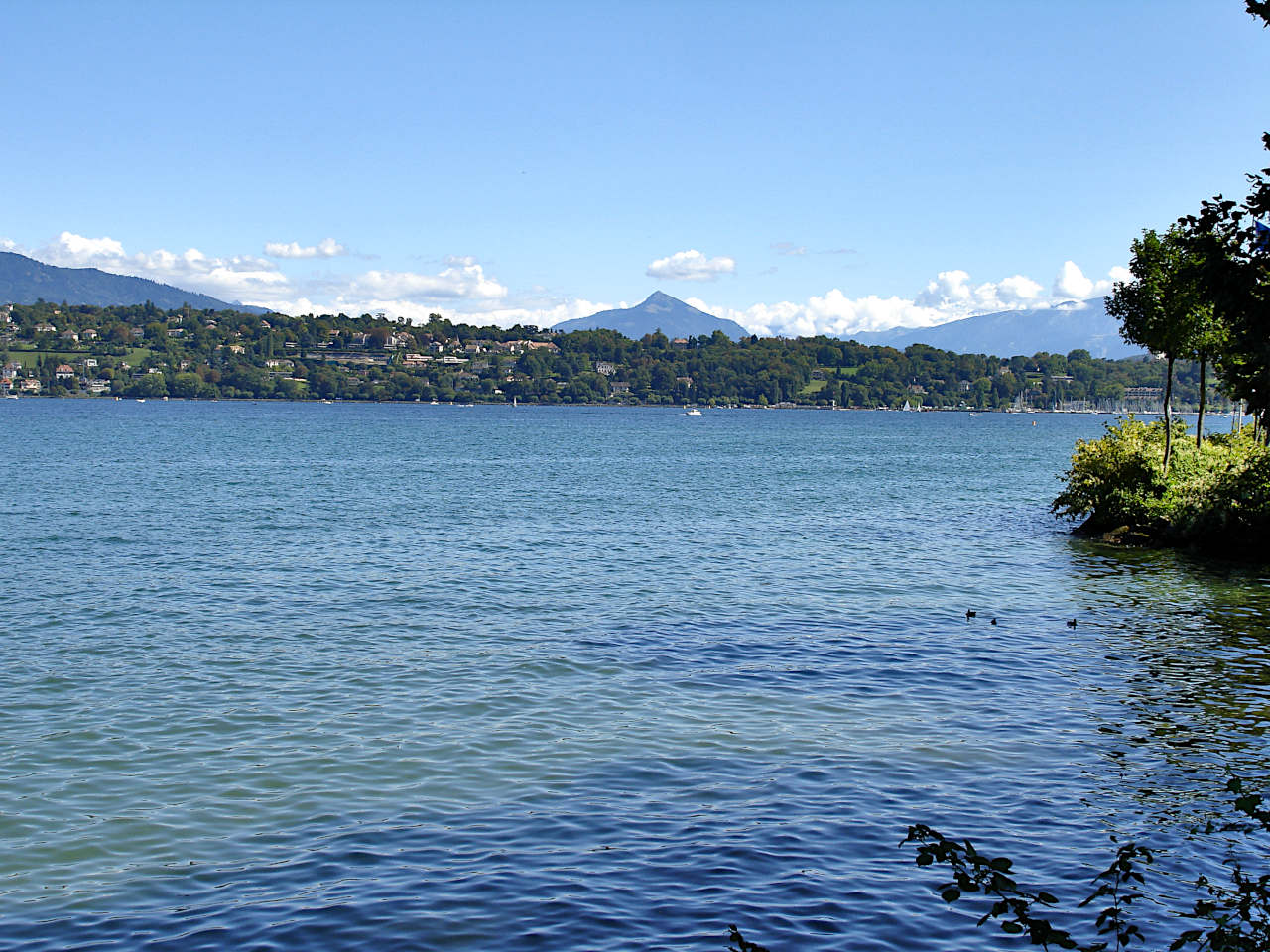 Le Léman vu du parc Mon Repos de Genève