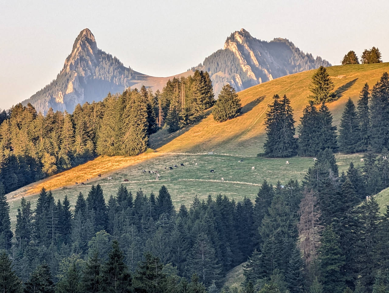 Moléson-sur-Gruyères