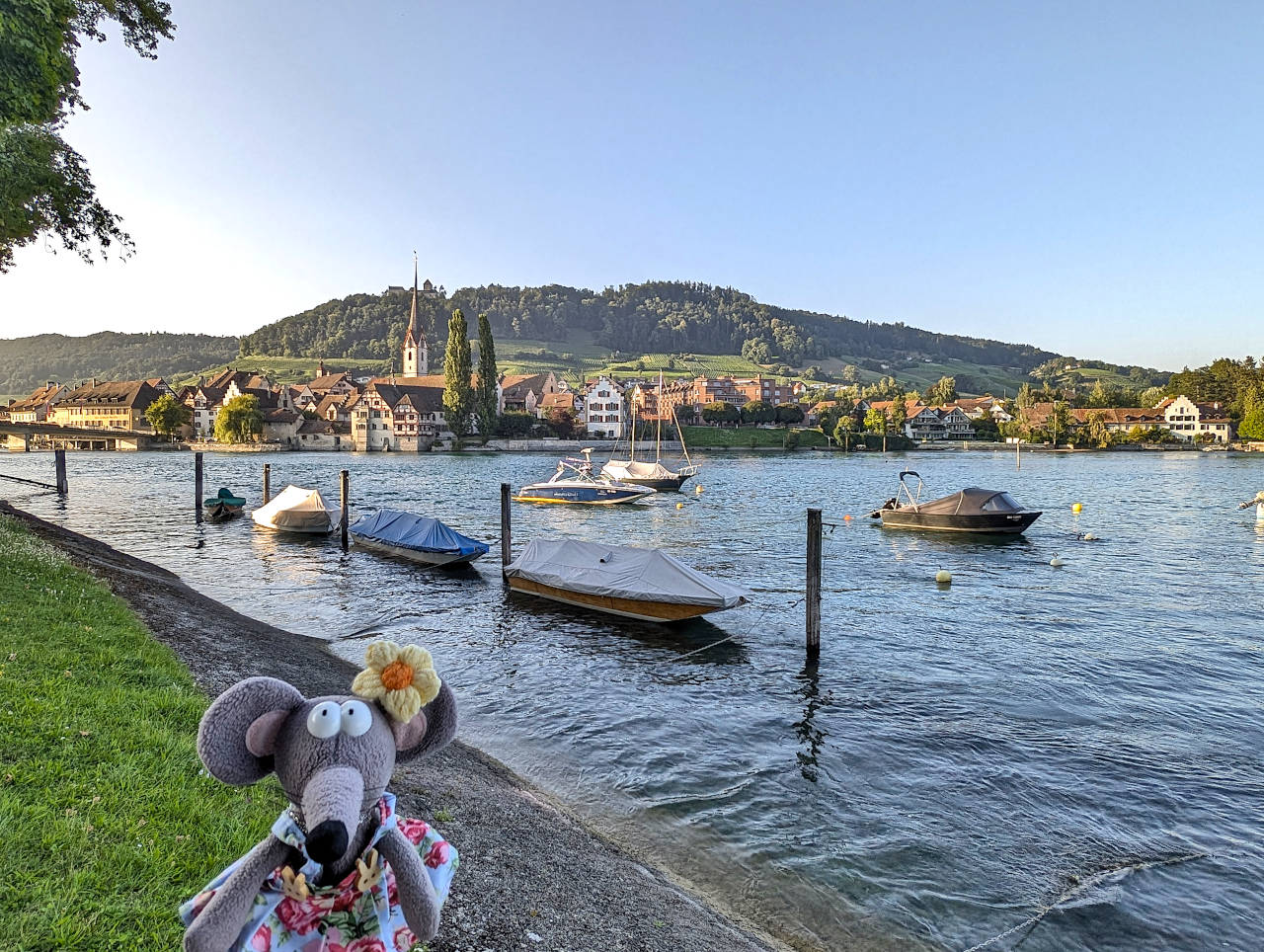 Stein am Rhein bords du Rhin