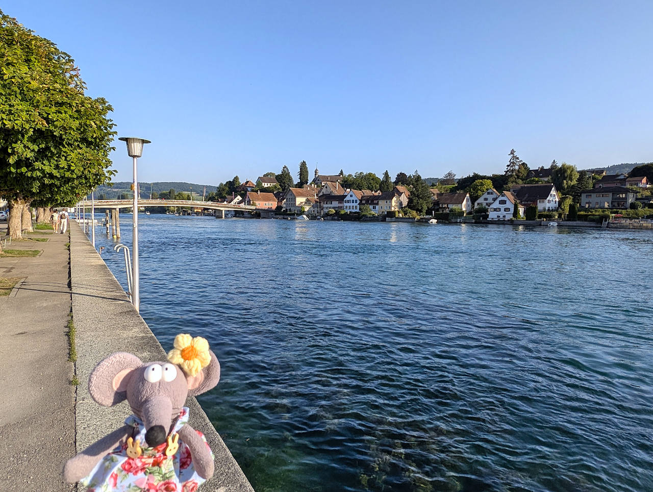 Stein am Rhein bords du Rhin 4