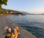 Que visiter, que faire à Zoug en Suisse Zoug