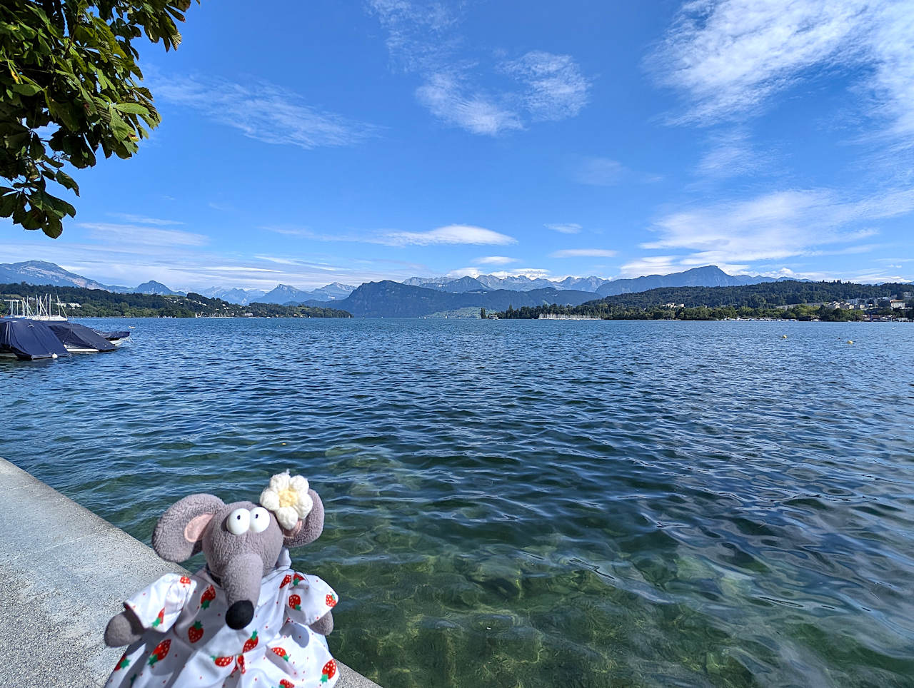 rives du lac à Lucerne