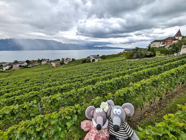 Visiter le lac Léman le tour complet en 2, 3 ou 4 jours La souris — free download