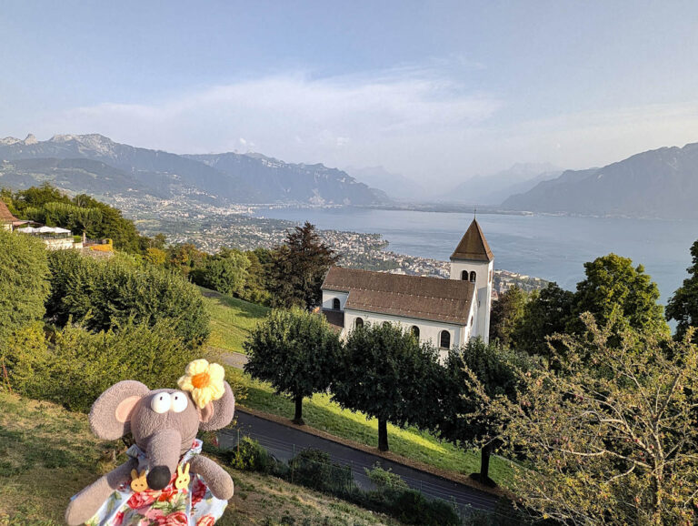 vue depuis les hauteurs de Vevey