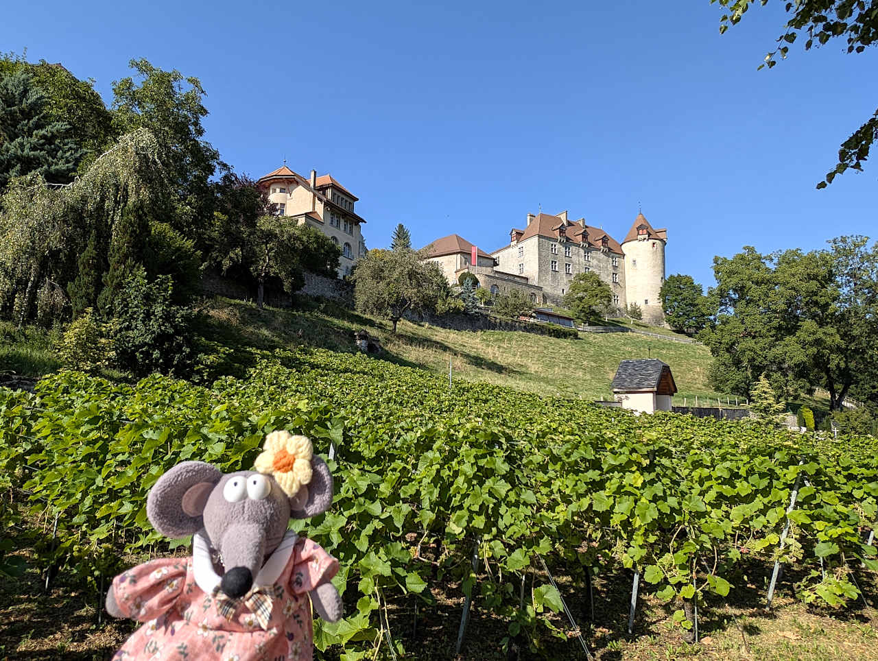 vue en contreplongée du château de Gruyères