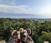 vue sur Lausanne depuis la tour de Sauvabelin