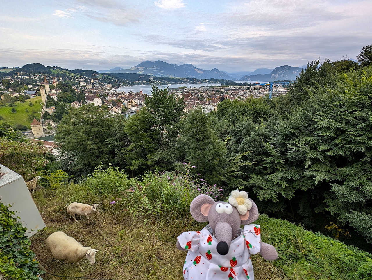 vue sur Lucerne depuis le château Gütsch