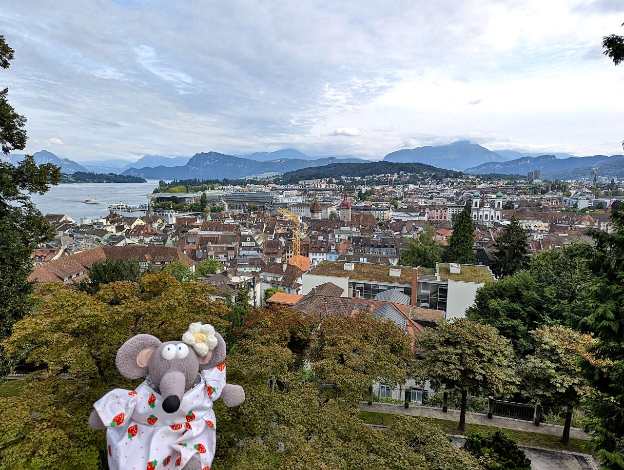 vue sur Lucerne depuis les remparts 