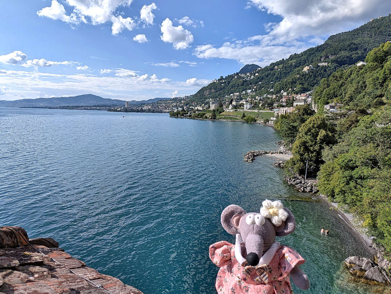 Château de Chillon vue