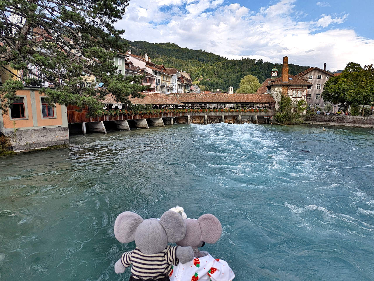 Mühleschleuse Thoune