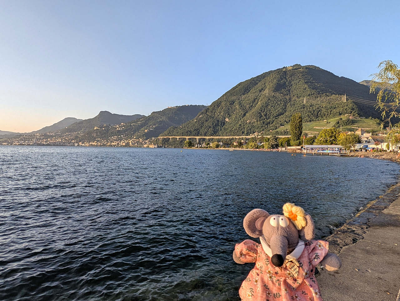 Villeneuve en Suisse