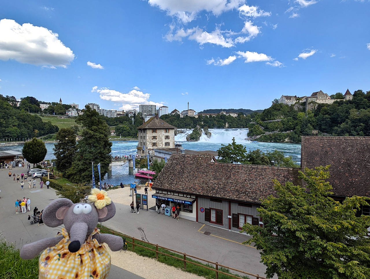 embarcadères des bateaux aux chutes du Rhin