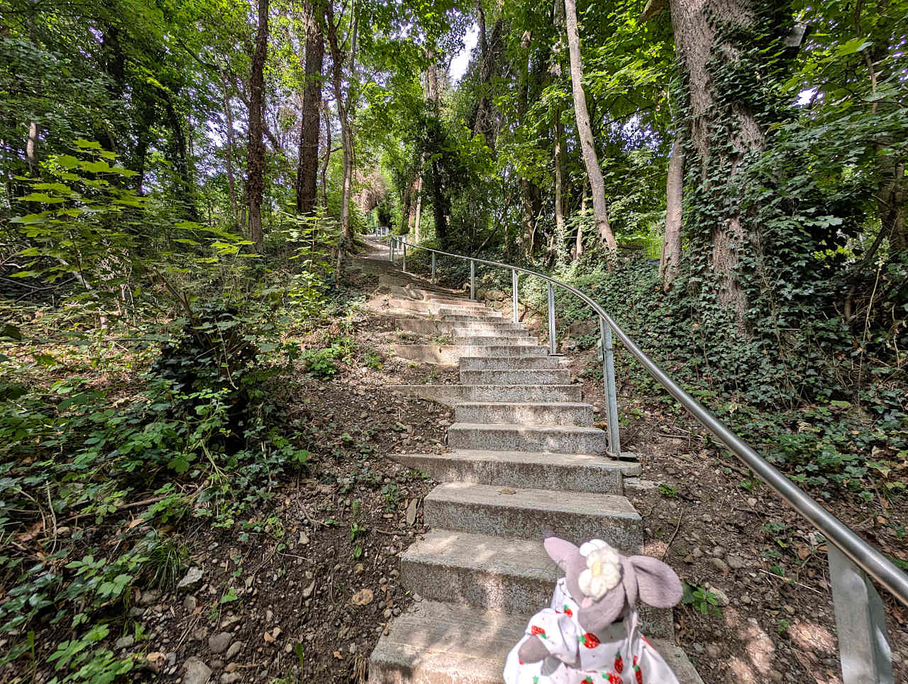escaliers dans la forêt à Thoune