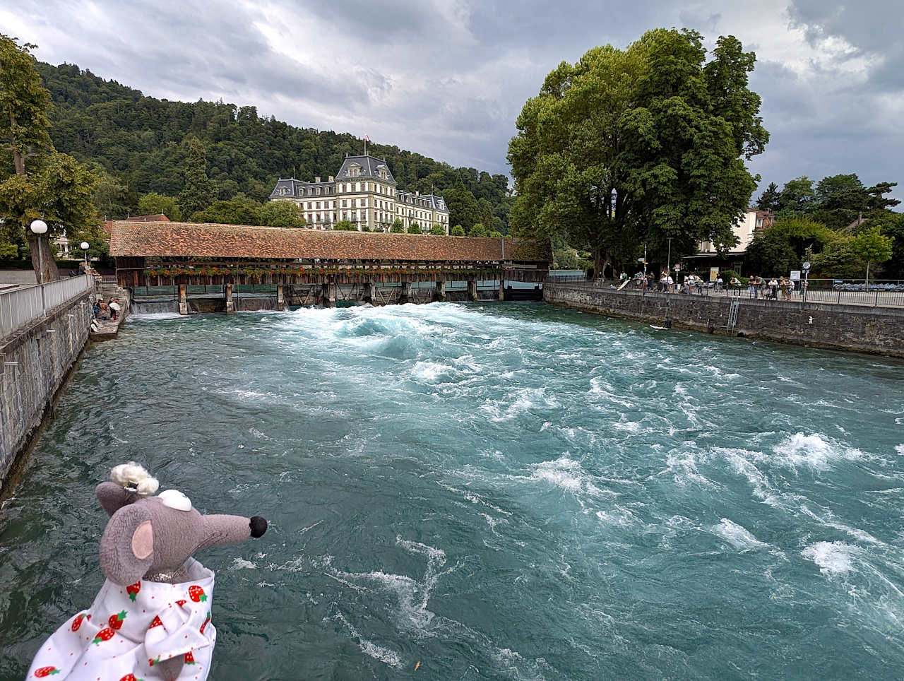 musée d'Art de Thoune