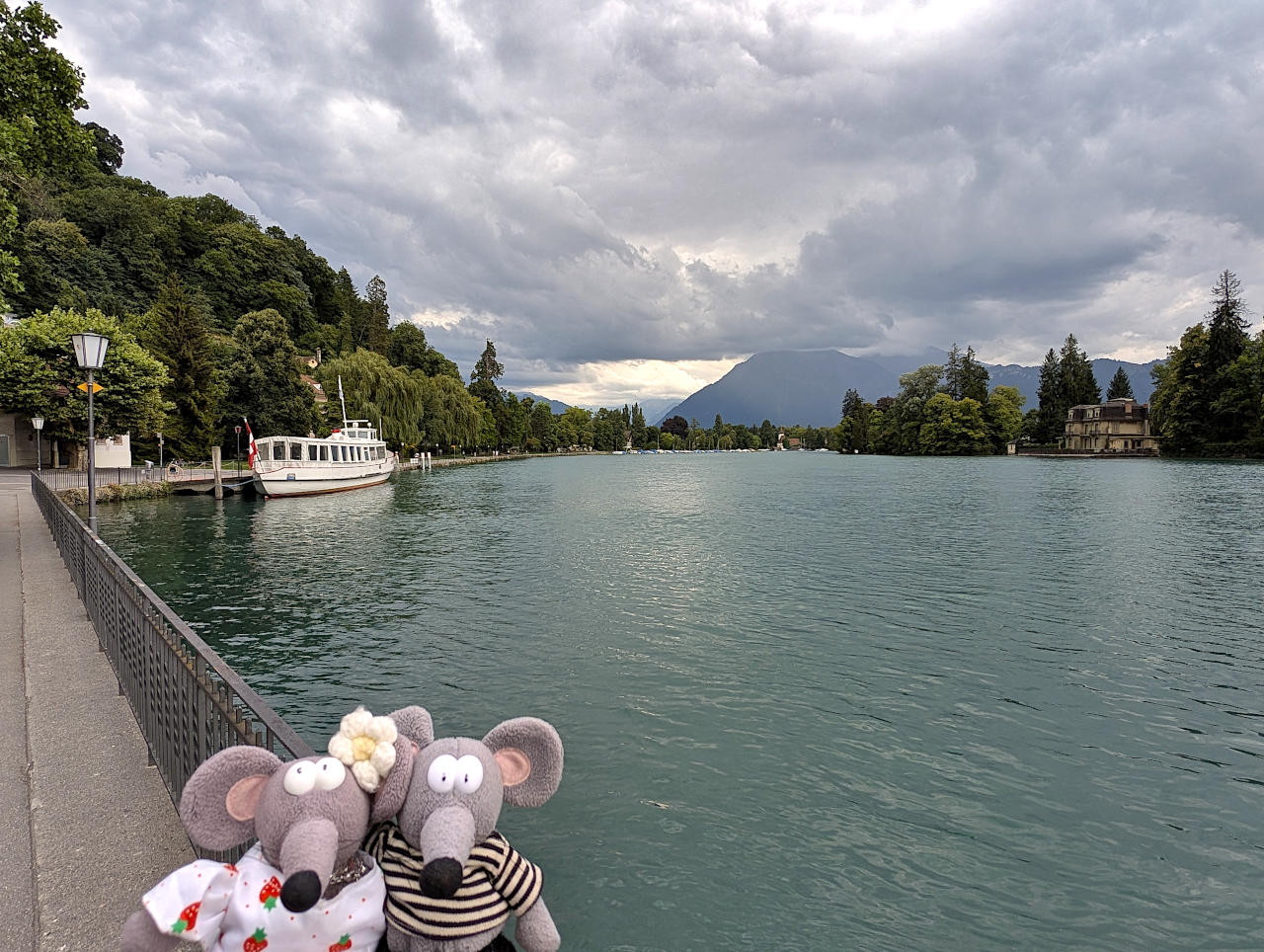 rives de l'Aar à Thoune