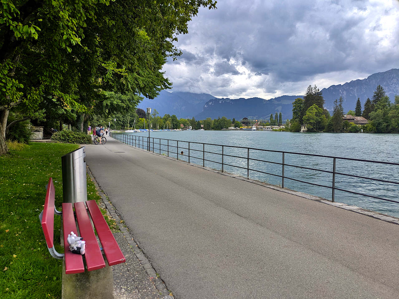 rives de l'Aar à Thoune