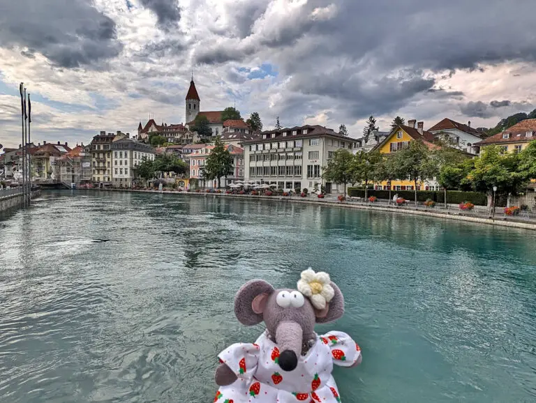 rives de l'Aar à Thoune