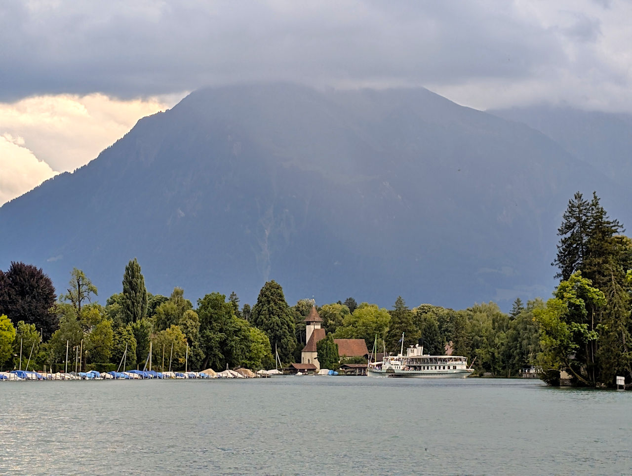 rives de l'Aar à Thoune