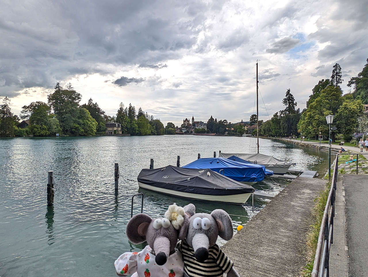 rives de l'Aar à Thoune