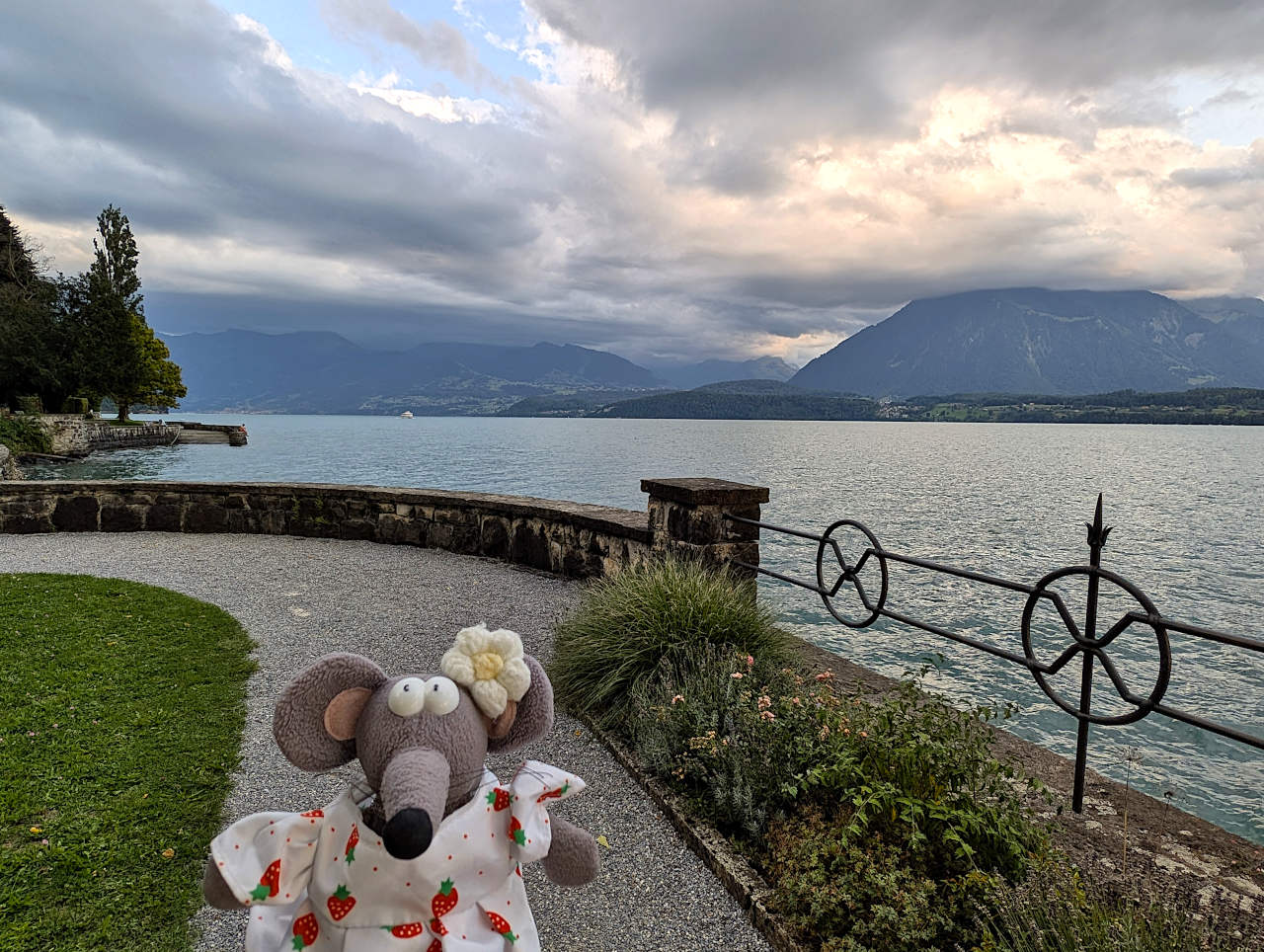 vue sur le lac de Thoune