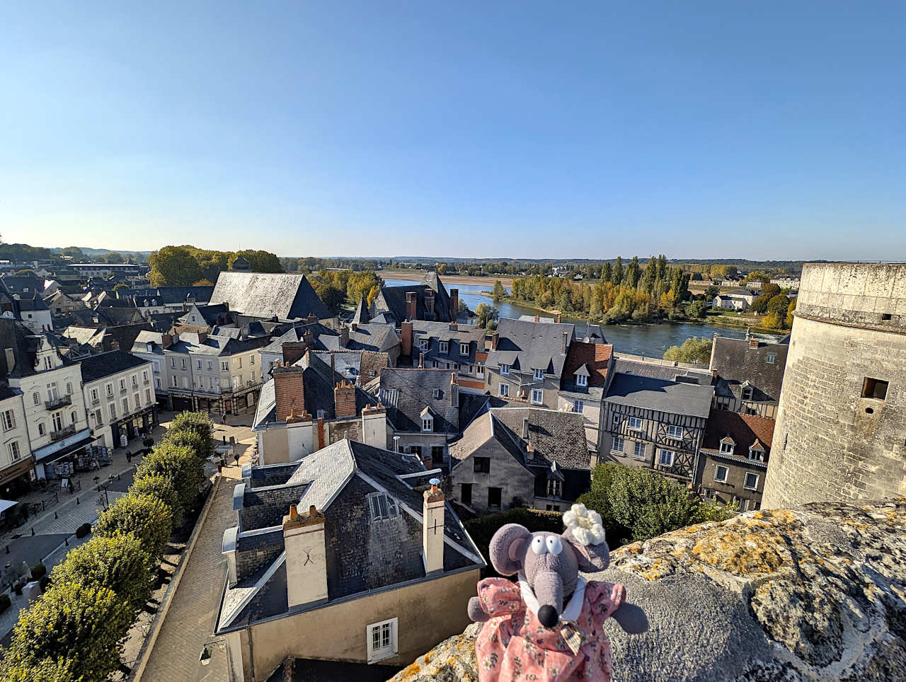 vue sur la vieille ville d'Amboise
