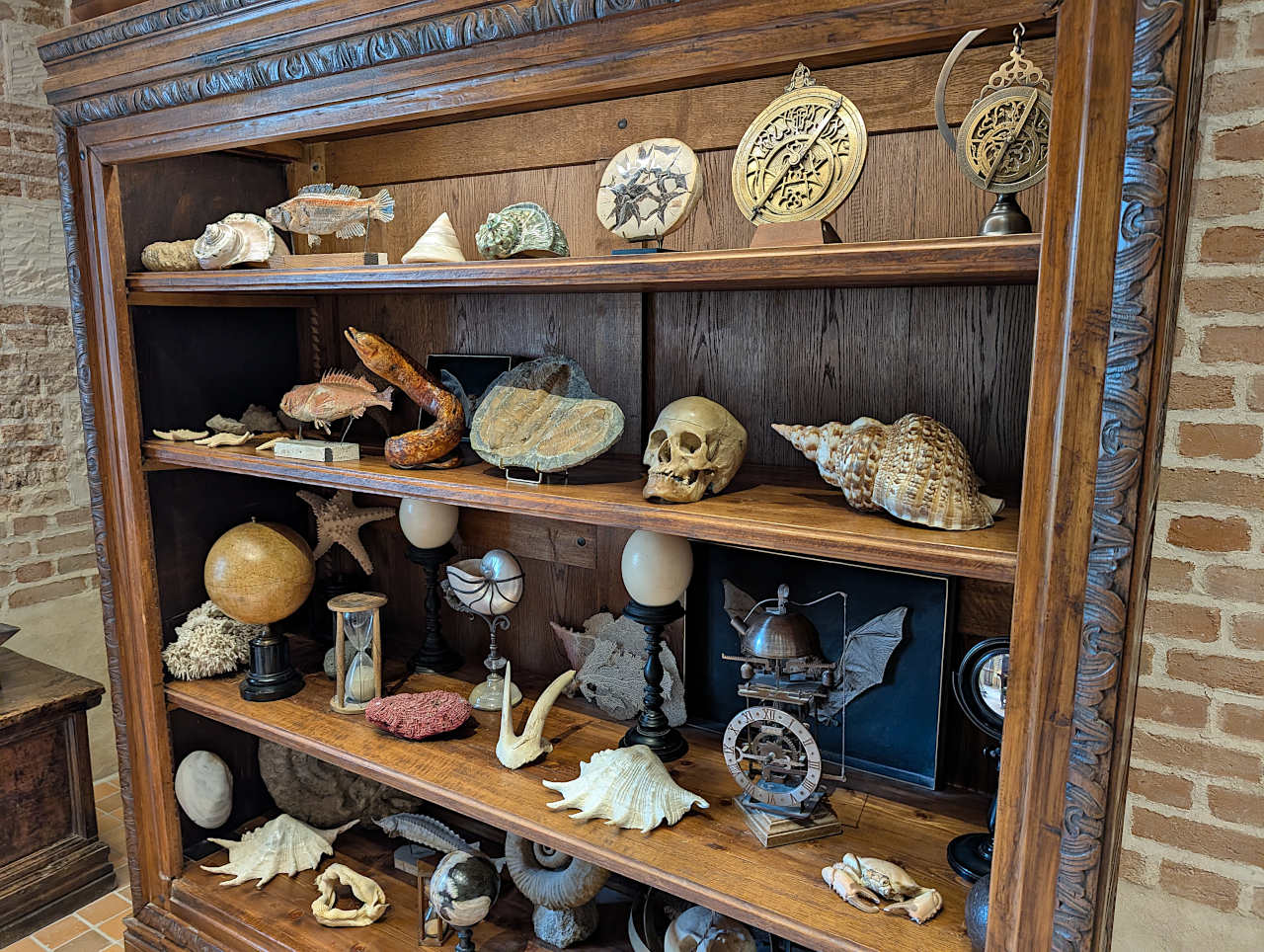 Clos Lucé cabinet de curiosités