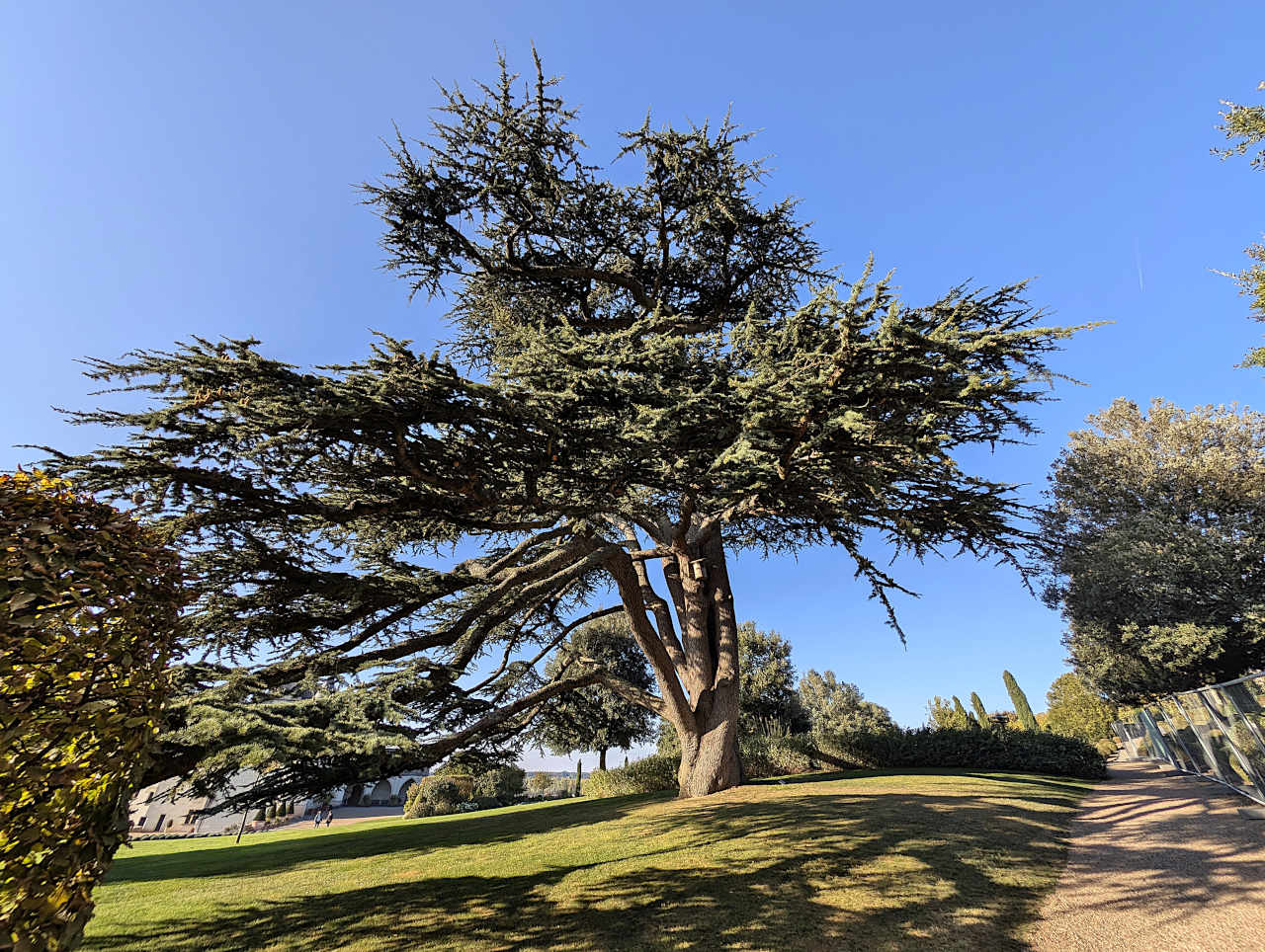 Jardins du château d'Amboise