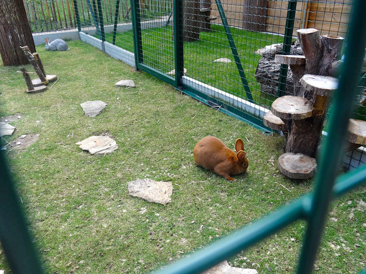 Parc Floral de la Source 4