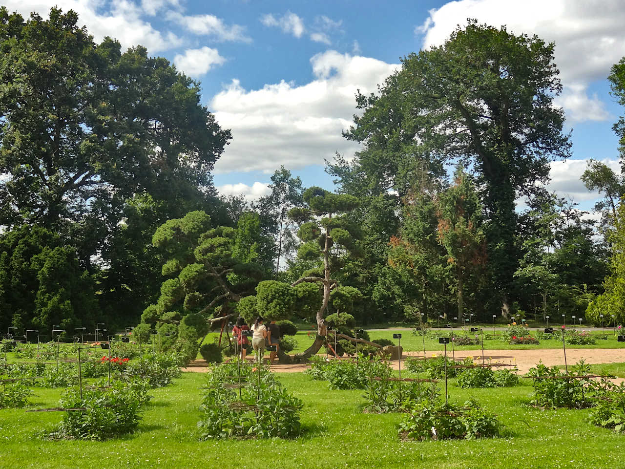 Parc Floral de la Source 5