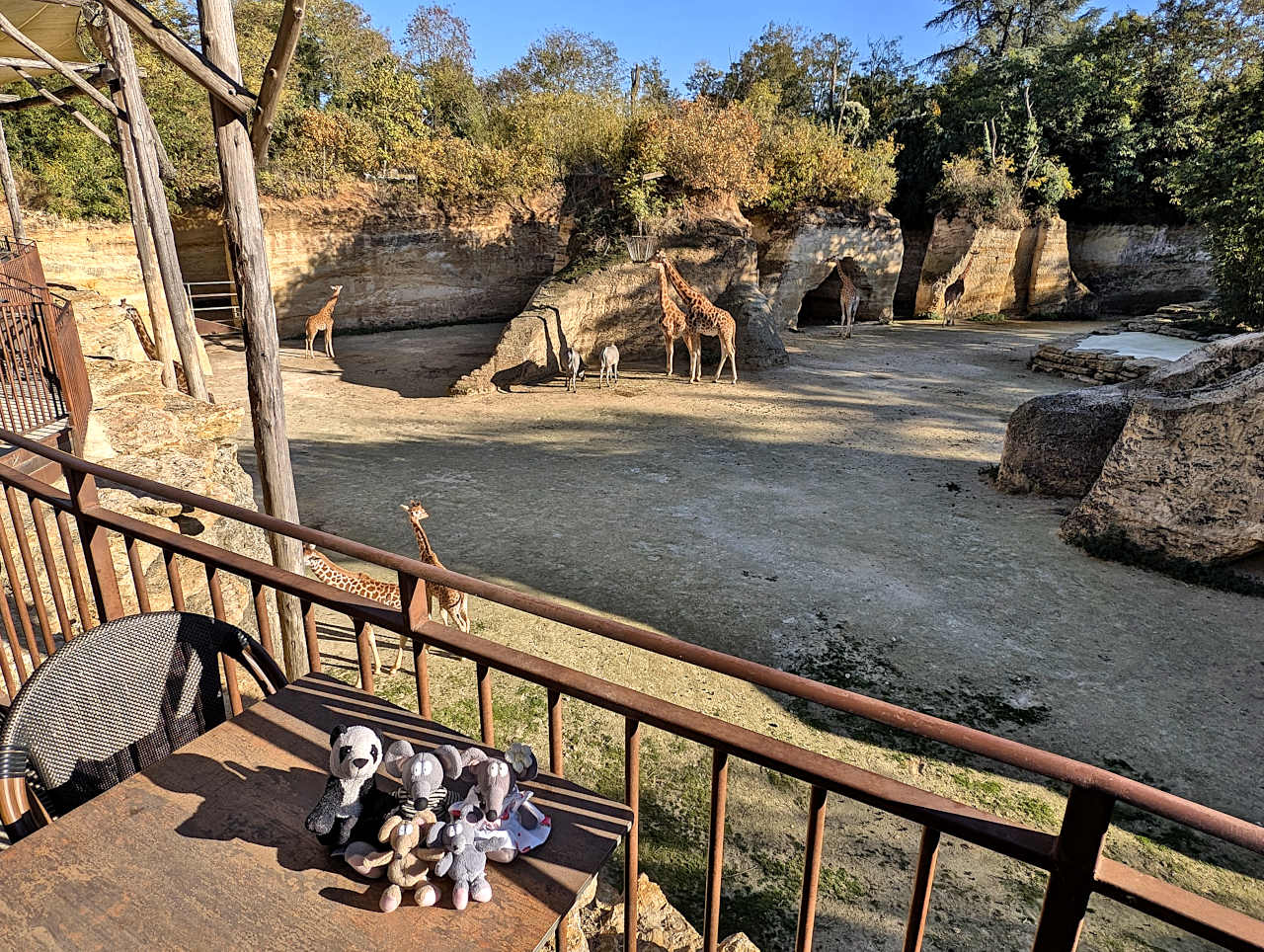 bioparc de Doué-la-Fontaine 1