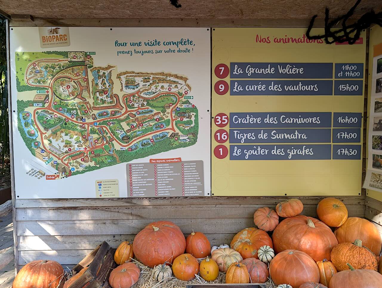 bioparc de Doué-la-Fontaine animations