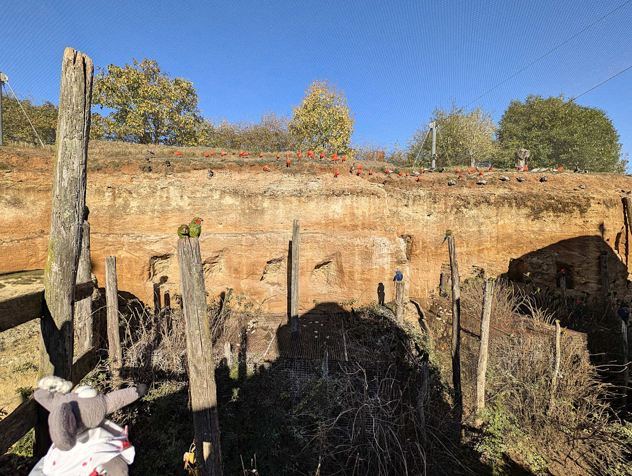 bioparc de Doué-la-Fontaine volière 2